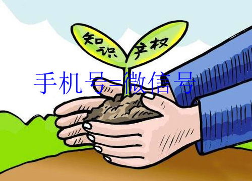 北京技術(shù)轉(zhuǎn)讓市場 機遇與未來發(fā)展前景